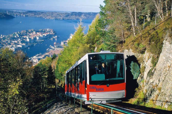 PRIVATE TOUR: Bergen city sightseeing, 5 hours - What the five-hour schedule can realistically cover