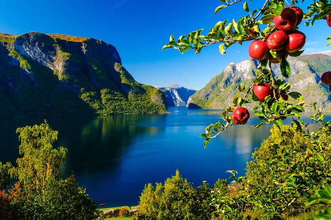Private tour, Bergen to Oslo - Nærøyfjord Cruise & Flåm Railway - Is $1,109.89 per person a fair price?