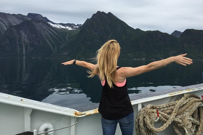 Private tour Geiranger and Glaciers 1 to 15 people - The old Strynefjellsvegen mountain road