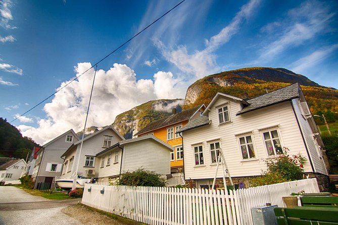Private tour to Sognefjord and Flåm from Bergen, 24 hr refundable - Choosing the Gudvangen to Flåm cruise