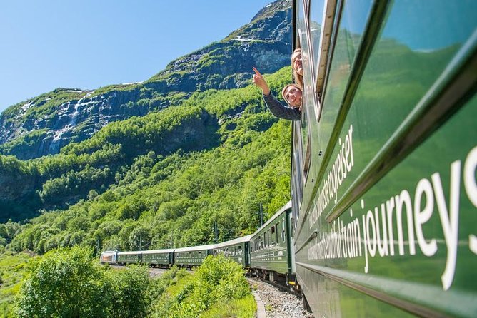 Private tour - Viking Village, Nærøyfjord Cruise and Flåm Railway - Key points at a glance