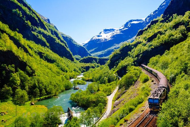 Private tour - Viking Village, Nærøyfjord Cruise and Flåm Railway - Flåm and the Aurlandsfjord connect the cruise to the railway