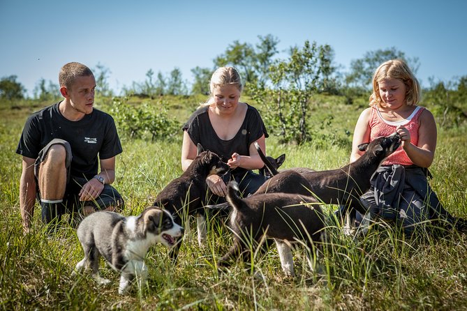 Puppy Training Experience at a Husky Farm in Tromso - Lunch in a warm farm setting