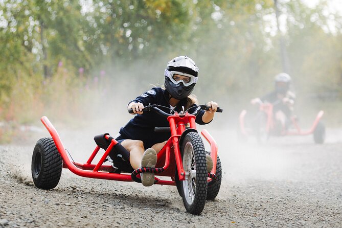 Racing Mountain Cart in Dagali near Geilo, Norway - What the $48.88 price means