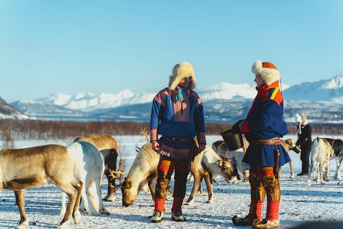 Reindeer Feeding and Sami Culture Afternoon Departure - Warming up inside the lavvu