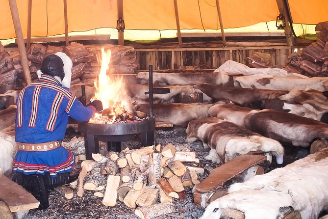 Reindeer Feeding and Sami Culture Including Lunch from Tromso - Cold-weather planning and practical details