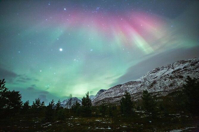 Reindeer Feeding and Sledding, Sami Storytelling Night Tour - From Tromso to Lavangsdalen by evening coach