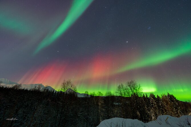 Reindeer Feeding and Sledding, Sami Storytelling Night Tour - Inside the lavvu for food and warmth
