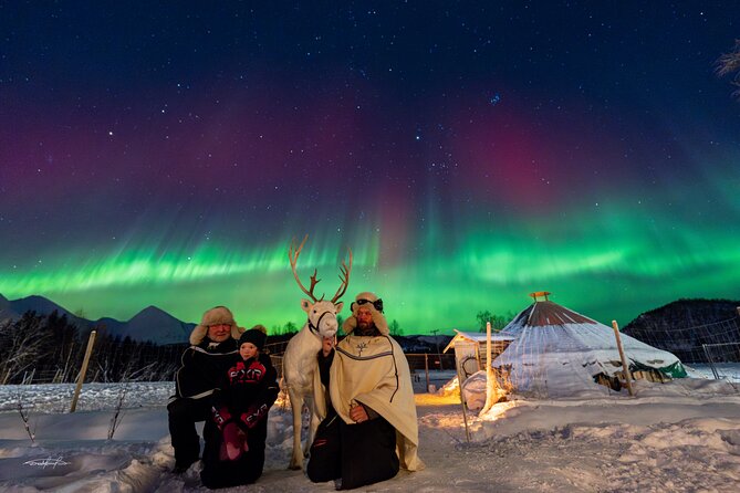 Reindeer Feeding and Sledding, Sami Storytelling Night Tour - Sami storytelling and cultural context