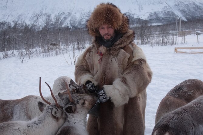 Reindeer feeding & Saami Culture - Is $183.01 a fair price?