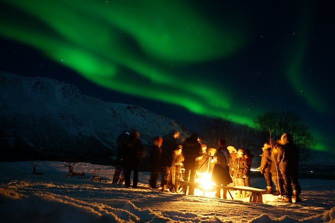 Reindeer feeding & Saami Culture with chance for Northern Lights - The ride from Tromsø and why timing matters