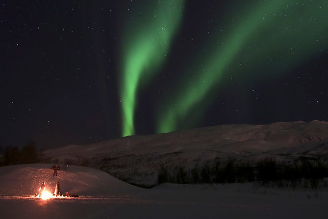 Reindeer feeding & Saami Culture with chance for Northern Lights - Is $182.37 a fair price?