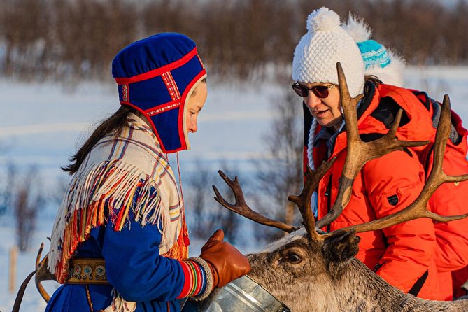 Reindeer feeding & Saami Culture - Warming up inside an authentic Sámi lavvu
