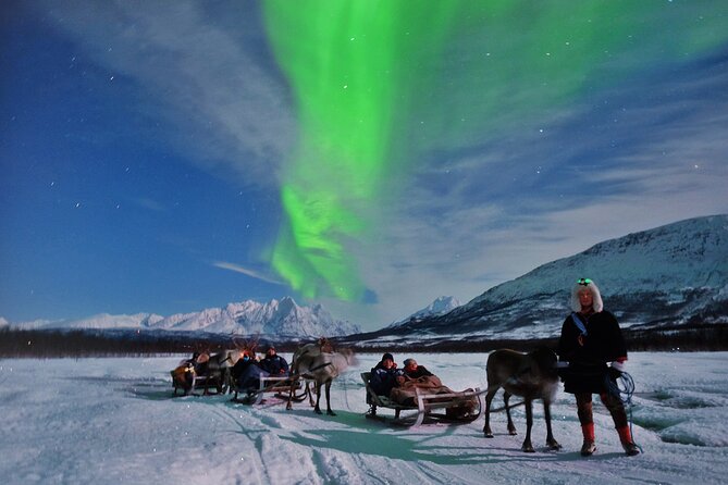 Reindeer Sledding and Feeding with Chance of Northern Lights Tromso - The 30-minute sled ride depends on snow