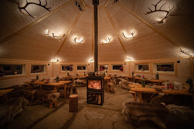 Reindeer Sledding and Feeding with Chance of Northern Lights Tromso - The cultural talk is valuable, but necessarily brief