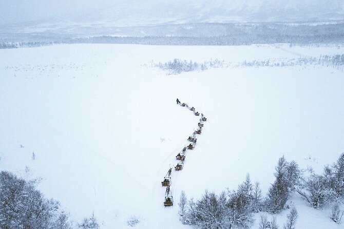 Reindeer Sledding and Feeding with Sami Culture in Tromso. - The ride from Tromsø to Tromsø Lapland