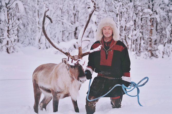 Reindeer Sledding and Feeding with Sami Culture in Tromso. - A warm lunch in the Arctic cold