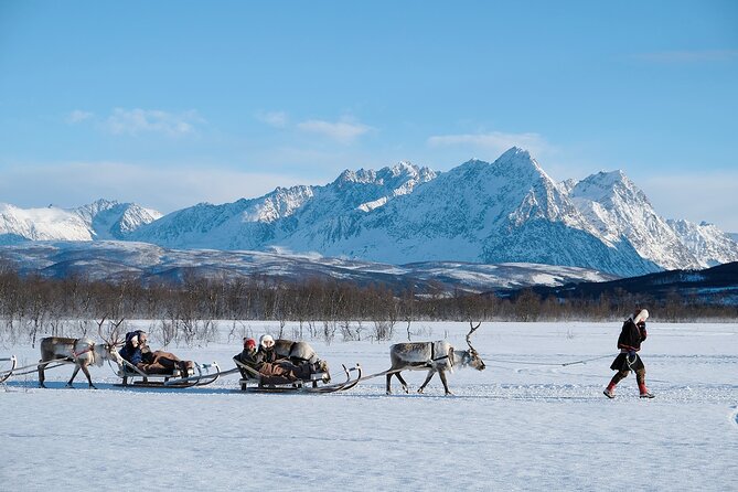 Reindeer Sledding and Feeding with Sami Culture in Tromso. - Timing, refunds, and small practical details