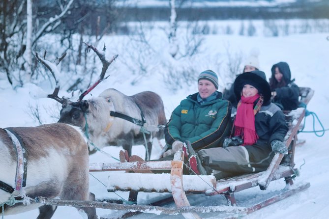 Reindeer Sledding and Feeding with Sami Culture in Tromso. - Learning about modern Sámi culture