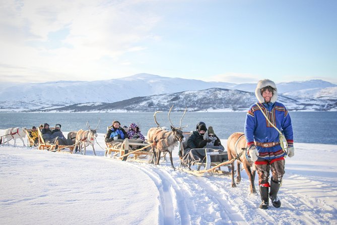 Reindeer Sledding Experience and Sami Culture Tour from Tromso - Key points at a glance
