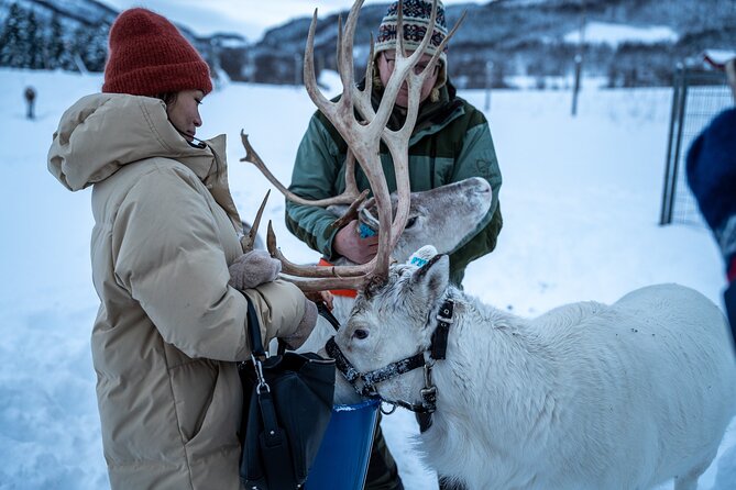 Reindeer Sledding, Feeding And Sami Culture At Reindeer Farm - Warm clothing and comfort