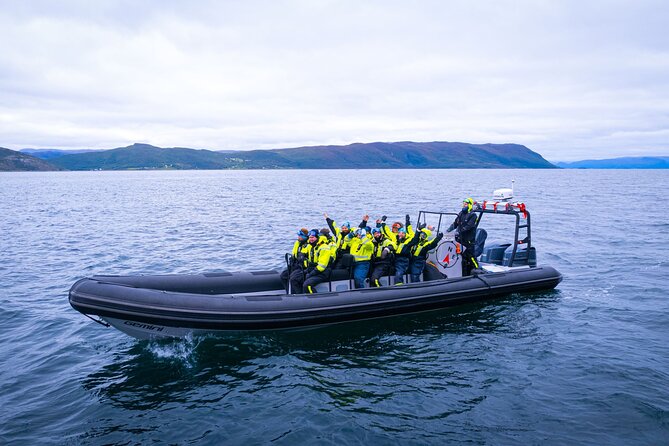 RIB Expedition to Seiland National Park - 3.5h - Wildlife Along the Route