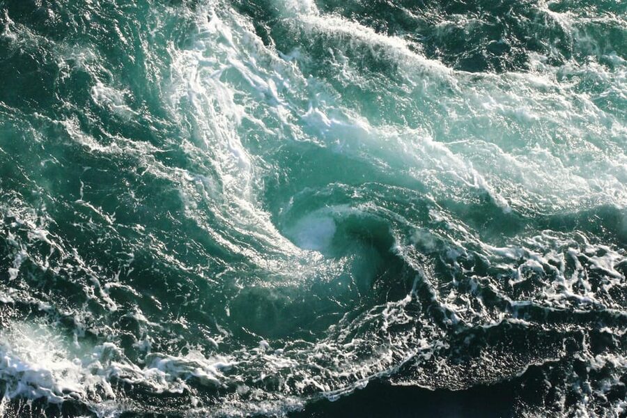Saltstraumen: Arctic Adventure and Scenic Journey - Booking details that affect the decision