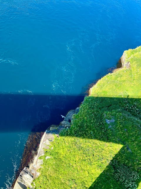 Saltstraumen: Arctic Adventure and Scenic Journey - The biggest limitation: nature may not perform