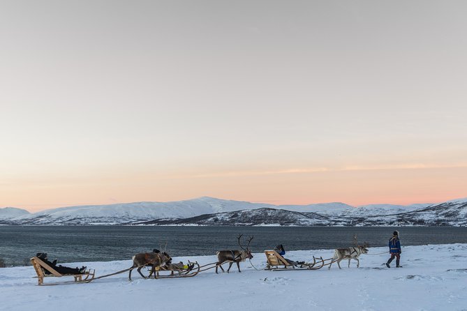 Sami Culture and Short Reindeer Sledding from Tromso - Warming up inside the lavuu