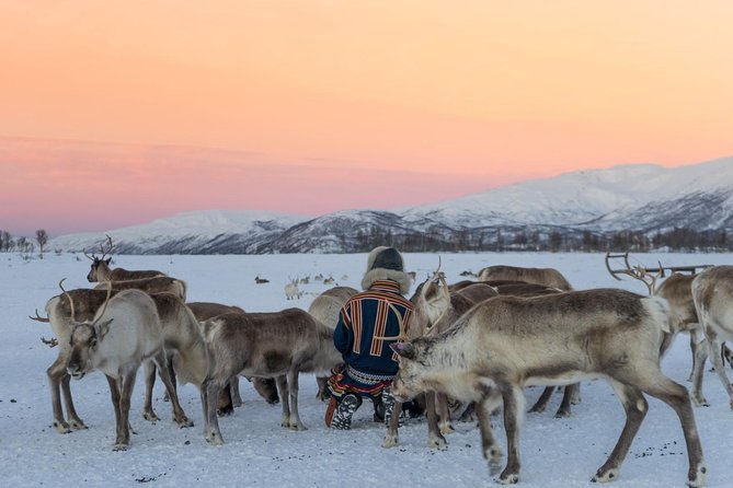 Sami Culture and Short Reindeer Sledding from Tromso - What happens when Arctic weather turns bad
