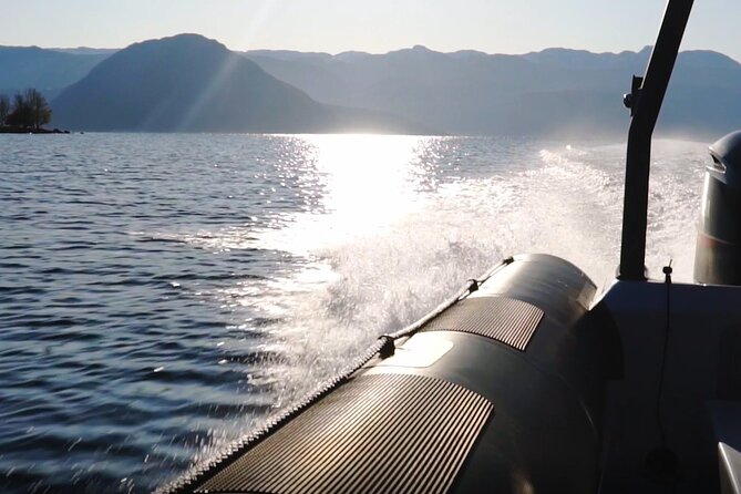 Scenic RIB adventure to Hardangerfjord & Fyksesund from Øystese - Herandsholmen, houses in the heart of the fjord
