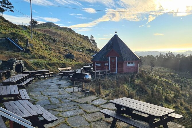 Scenic tour to Steinsfjellet, locals at Kringsjå & Rising Tide - Why this three-hour Haugesund outing works