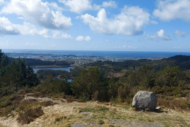 Scenic tour to Steinsfjellet, locals at Kringsjå & Rising Tide - Weather, cancellation, and practical planning