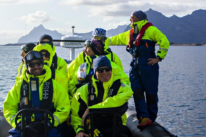 Sea Eagle Safari from Svolvær to Trollfjorden - How Much Value Do You Get for $156.56?
