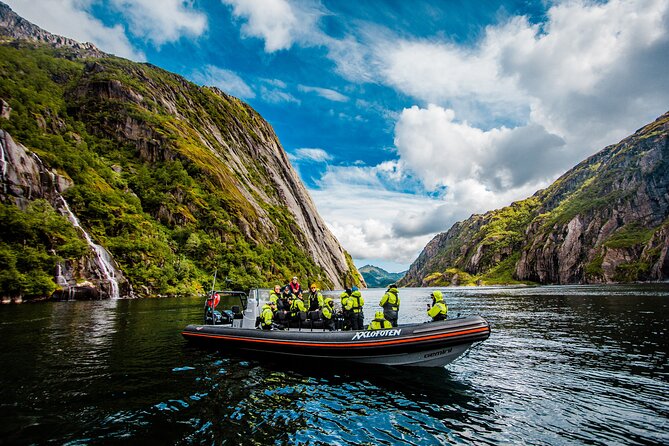 Sea Eagle Safari from Svolvær to Trollfjorden - Who Will Enjoy This Safari Most?