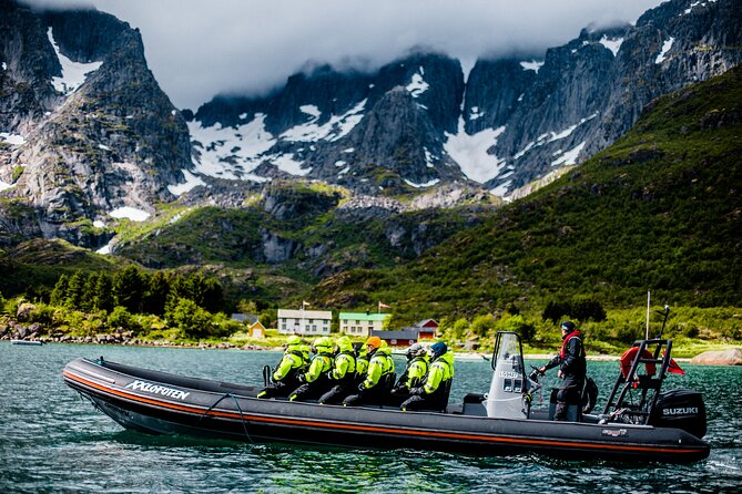 Sea Eagle Safari from Svolvær to Trollfjorden - My Take: Book It If Eagles Matter to You