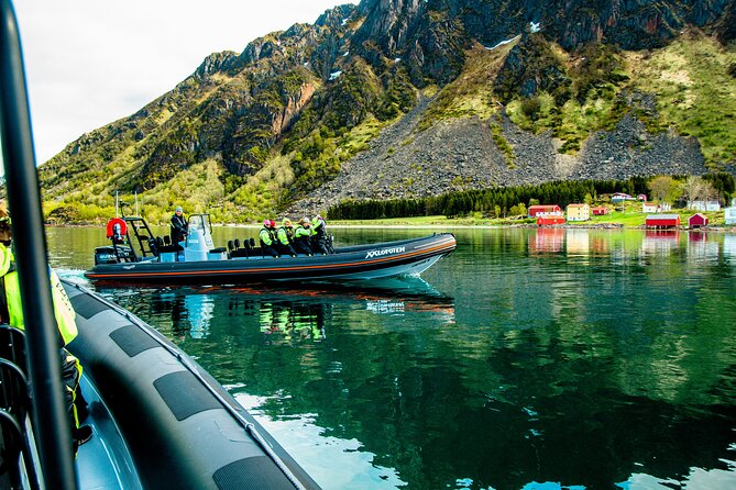 Sea Eagle Safari from Svolvær to Trollfjorden - FAQ
