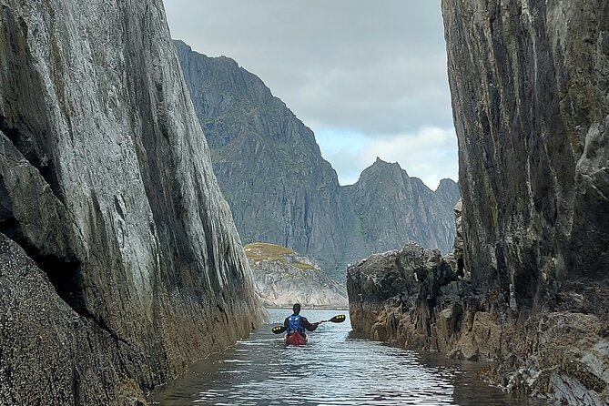Sea Kayak Guided Tours on Skrova Island - Wildlife is a bonus, not a promise