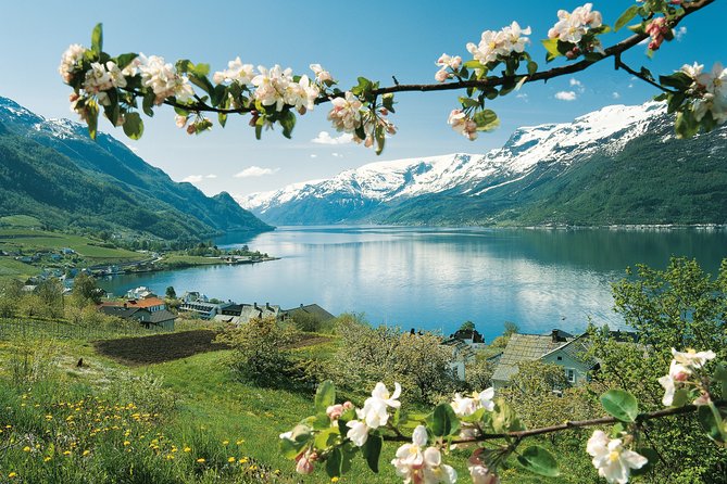 Self-Guided 22-Hour Round Trip From Oslo To Sognefjord With Flåm Railway - Aurlandsfjord and Nærøyfjord by boat