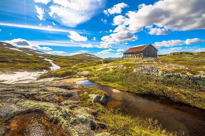 Self-Guided Bergen to Oslo Daytrip With Flamsbana & Fjordcruise - What the $431.77 price really covers