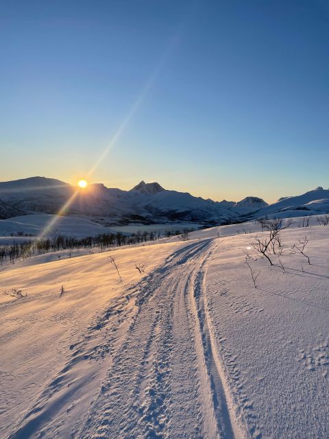 Senja Island: Winter Light Package Deal, 1 Day and 1 Night - From Tromsø to Senja by express boat