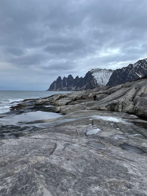 Senja Island: Winter Light Package Deal, 1 Day and 1 Night - Who should book this Senja package?