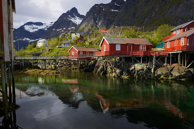 Shore Excursion Full day Private Tour in Lofoten - Å turns the road into an open museum
