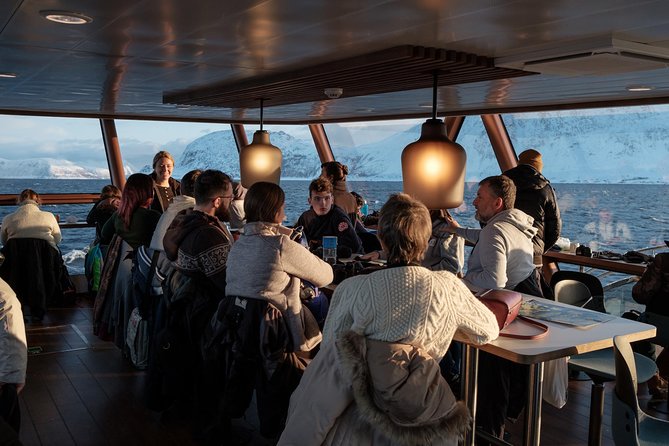 Silent Whale Watching by Hybrid-Electric Boat from Tromsø - Rough seas and winter darkness