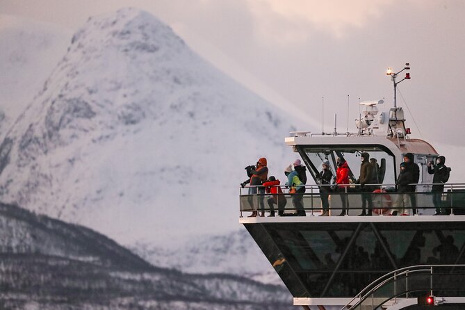 Silent Whale Watching by Hybrid-Electric Boat from Tromsø - Is the $214.85 price good value?