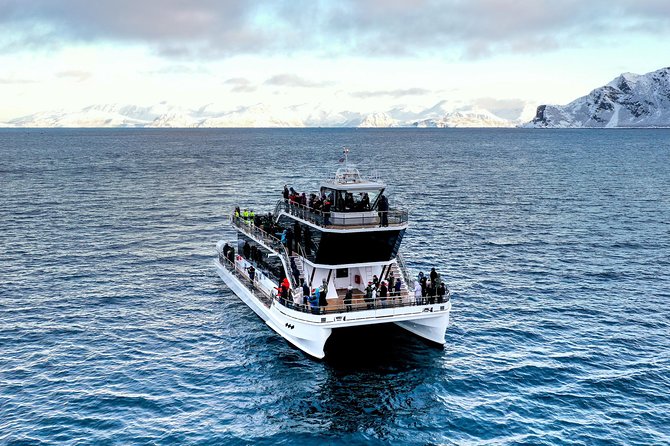 Silent Whale Watching by Hybrid-Electric Boat from Tromsø - Skjervøy and the herring-feeding grounds