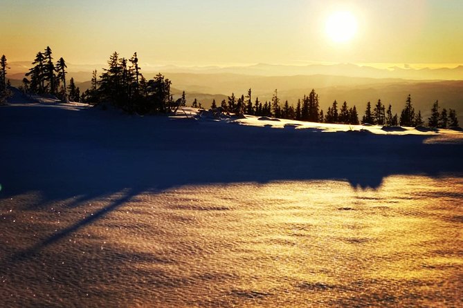 Skiing in winter wonderland - Leaving Trondheim for the snowy forest