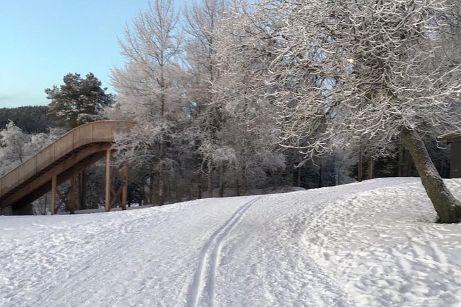 Skiing in winter wonderland - The homemade snack break
