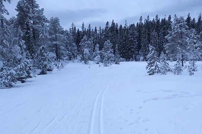 Skiing in winter wonderland - Is $232.82 a fair price?