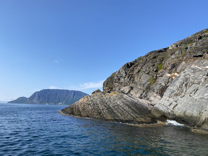Skjervøy: Birds and Wildlife of Arctic Norway - Is $165 good value for three hours?
